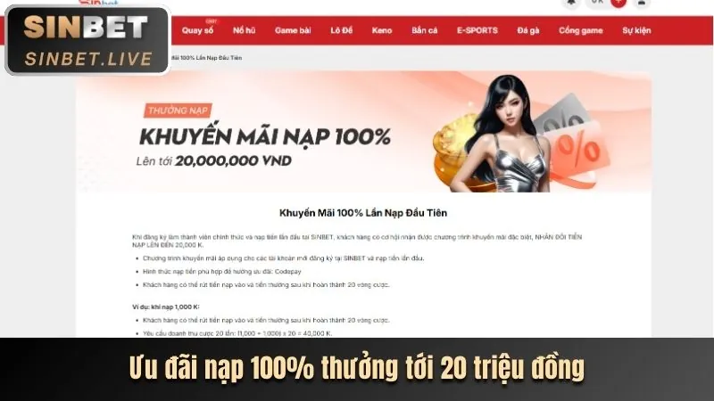 ok9 bet ra mắt chương trình khuyến mãi thành viên mới